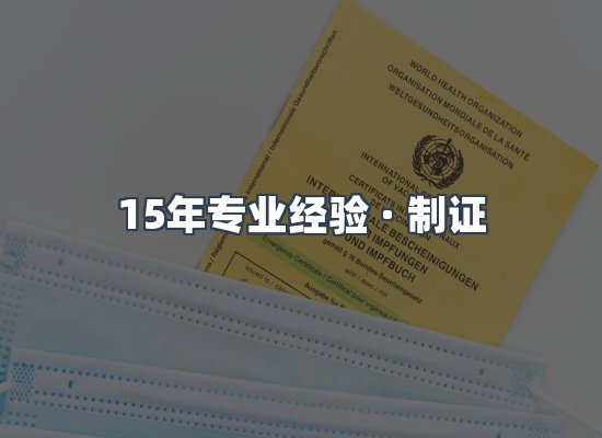证件页面制证展示